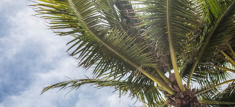 weather your have to contend with when moving to Brevard County