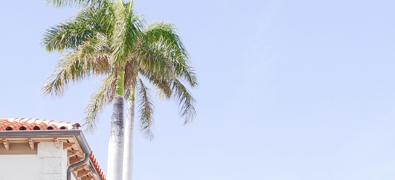 a palm tress next to a home in one of the affordable neighborhoods to live in St Lucie County