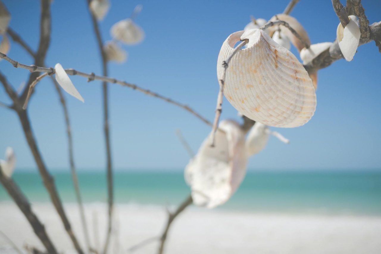 5 things you should know before moving to Port St Lucie