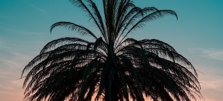 nightfall in Fort Pierce