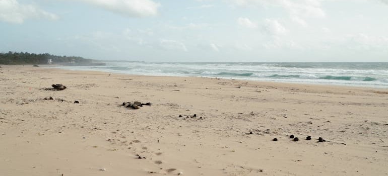 Empty beach with scattered debris.
